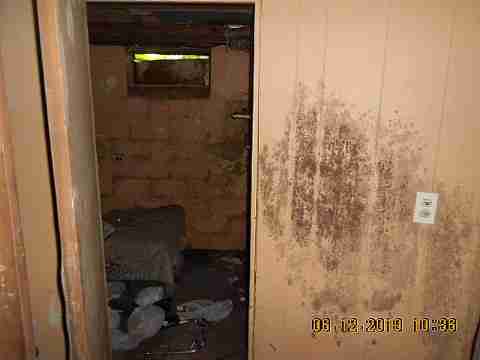 18961 Joann (27)_m.jpg